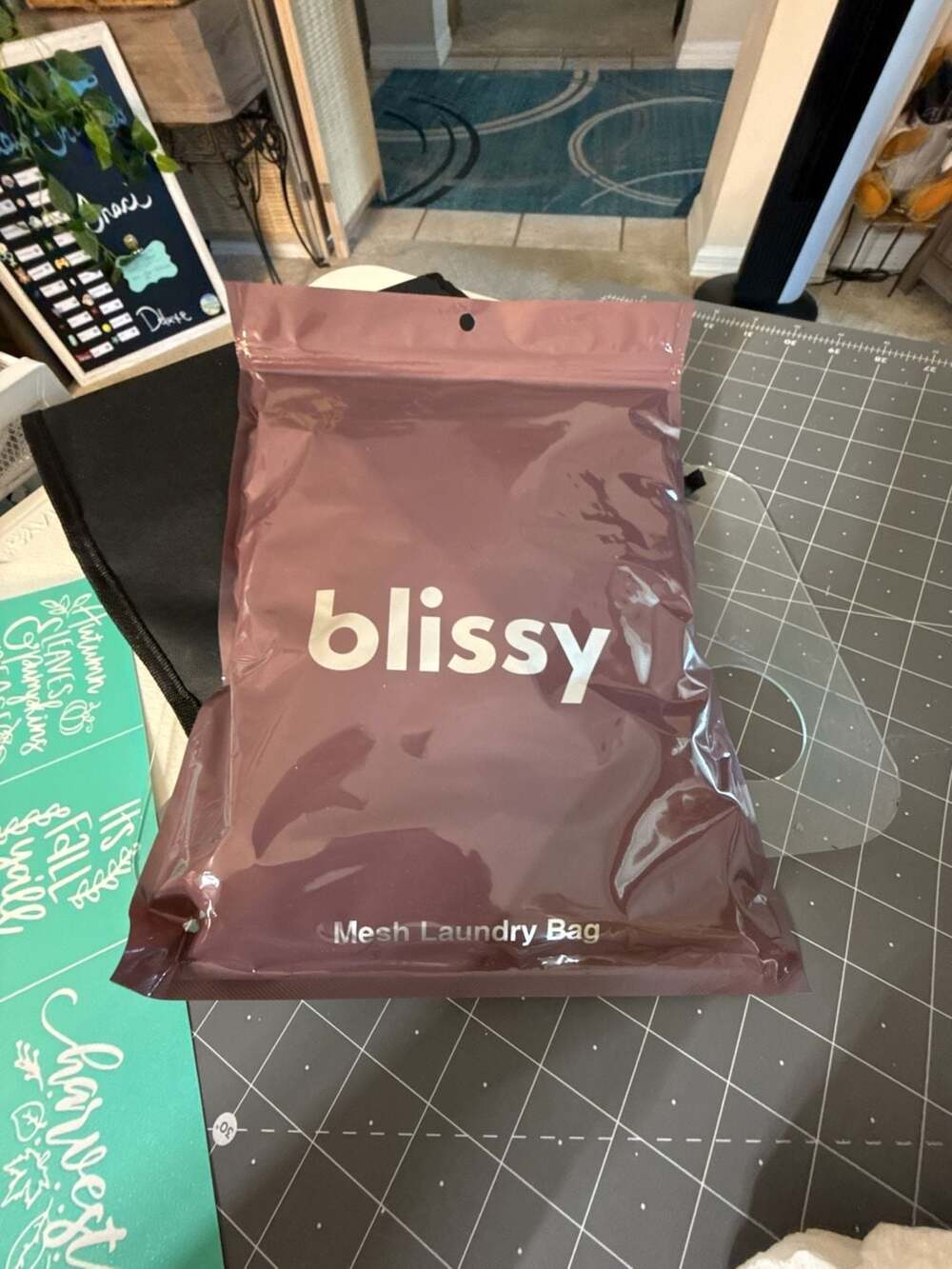 Blissy Mesh Laundry Bag